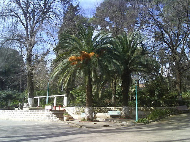 Jardin botanique