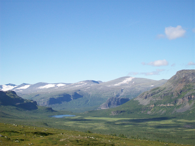 Sarek