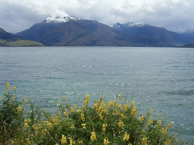 Lake Wanaka