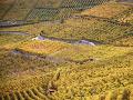 Lavaux, vignoble en terrasses