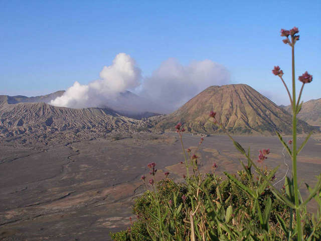 Mt. Bromo