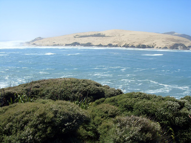 Omapere estuary