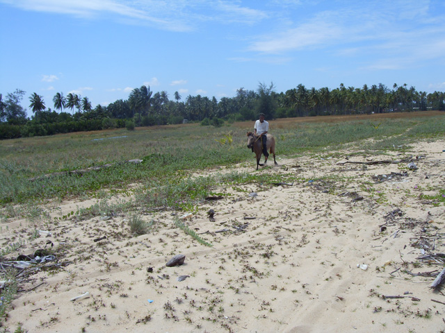 Pantai Cahaya bulan