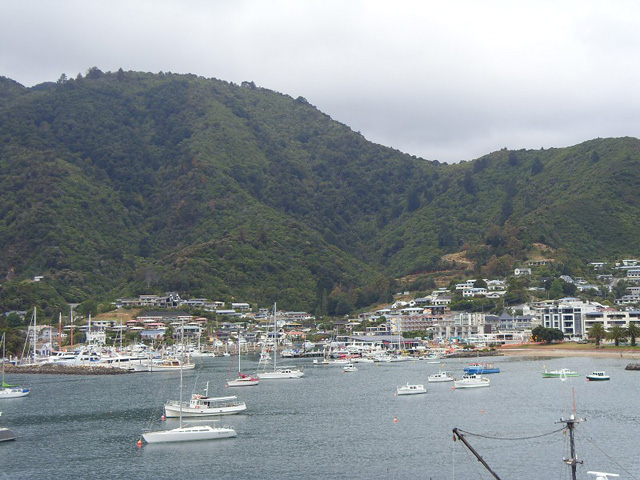 Picton harbour