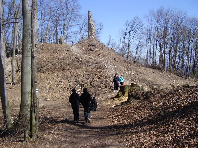 Lower castle