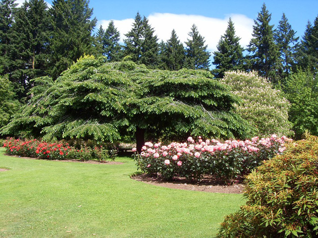 Jardins de Queenstown