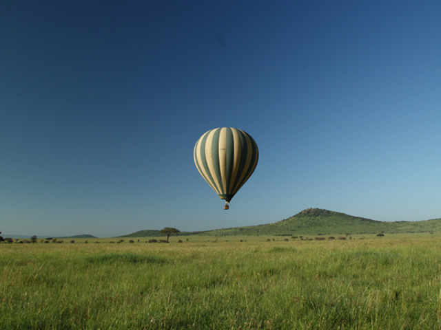 Plaine du Serengeti