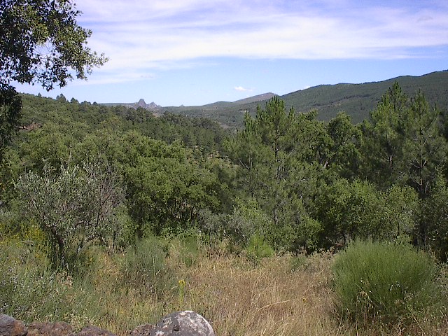 Alentejo