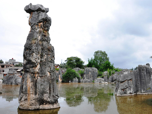 Museum of Stone Forest karst