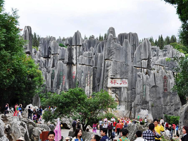 Major stone forest