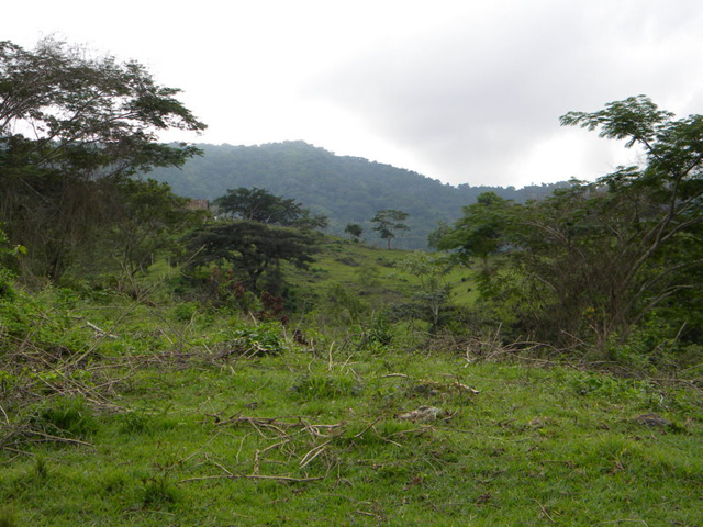 Sierra Maestra