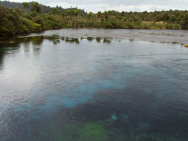 Te Waikoropupu Springs