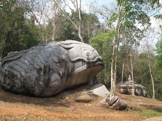 Thien Phuc son dong