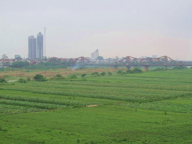 Vegetable field