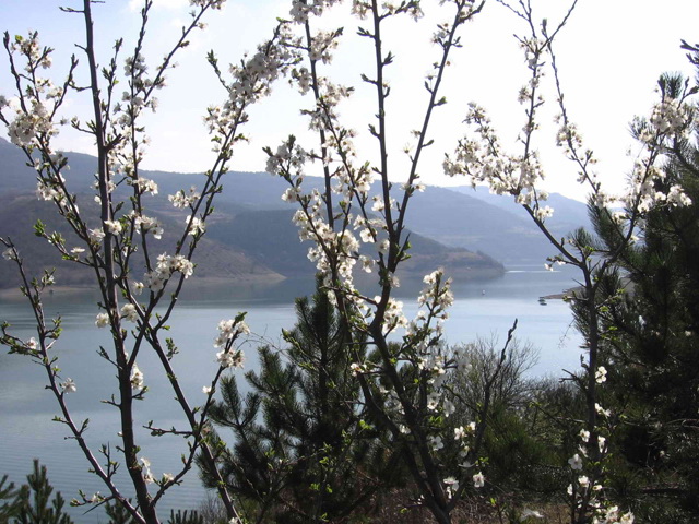 Lac Zavoj