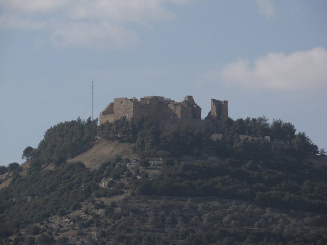 Château d'Ajlun