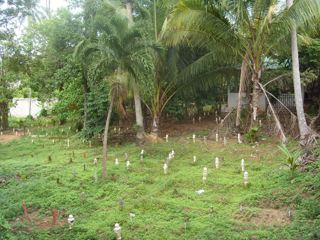 Ao Nang Muslim Cemetery