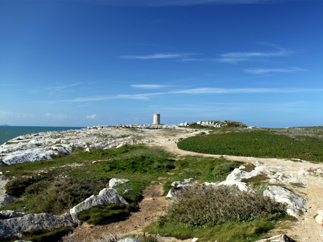 Baleal island