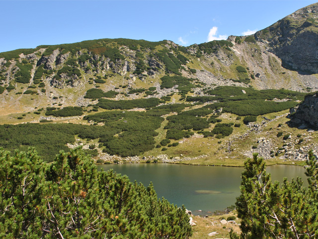 Calcescu Lake