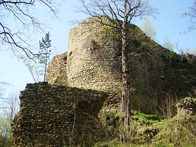 Cisy Castle