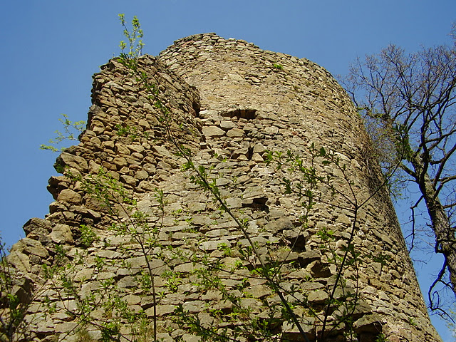 Cisy Castle tower