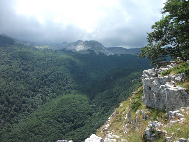 Parc national des Abruzzes