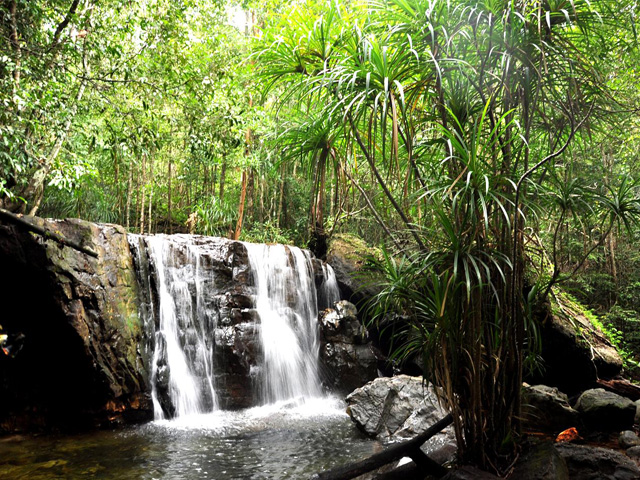 Eco-forest, Suoi Tranh