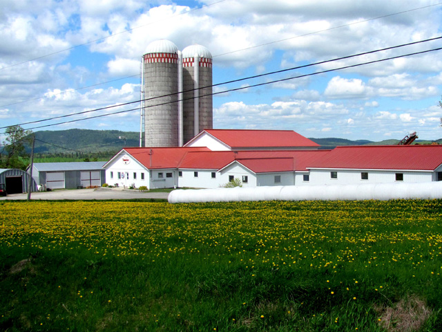 Farm spring season