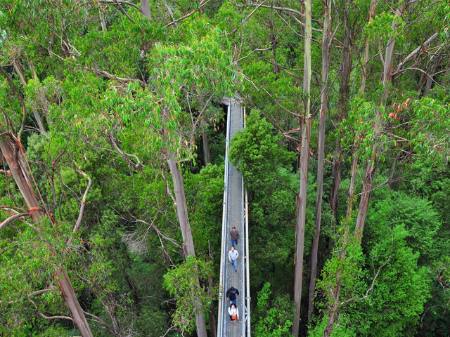 Parc national Great Otway