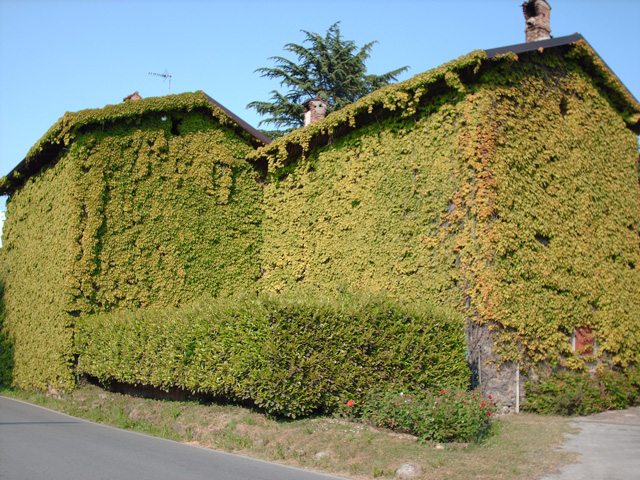 Castello di Brianza