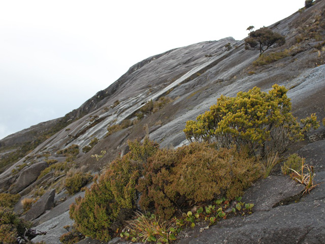 Parc national du Kinabalu