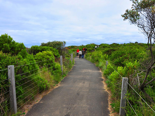 Pathway, Loch Ard Gorge