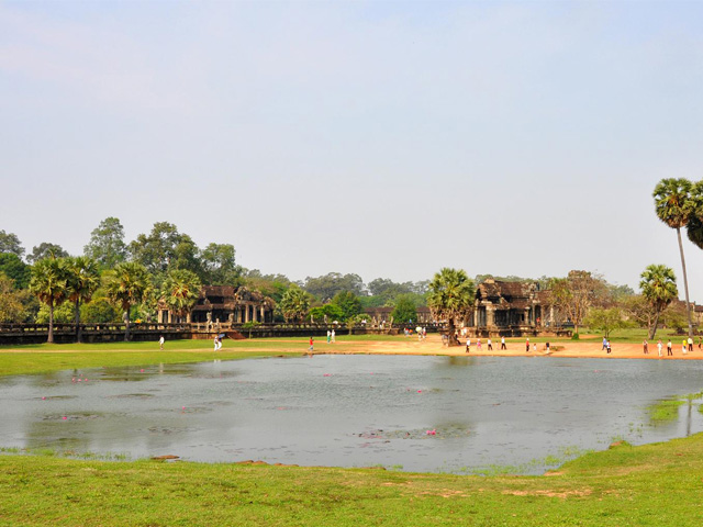 Lotus pond