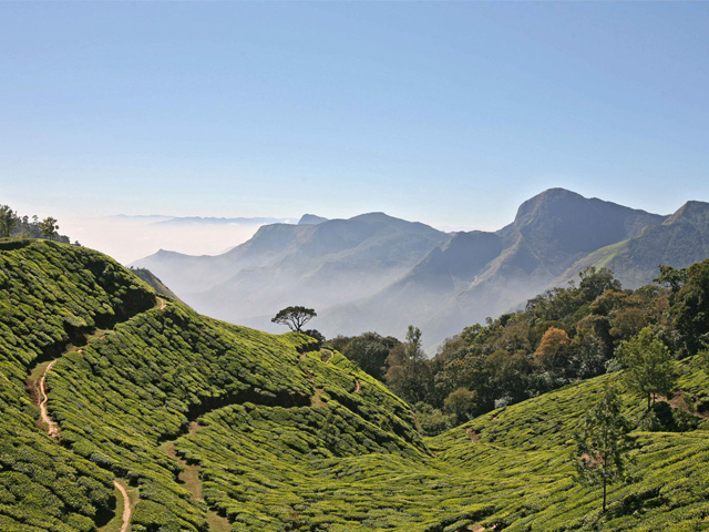 Munnar