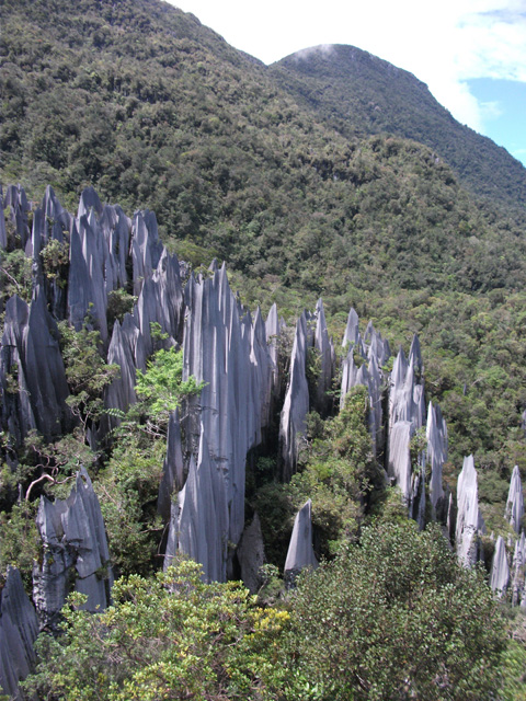 Pinnacles