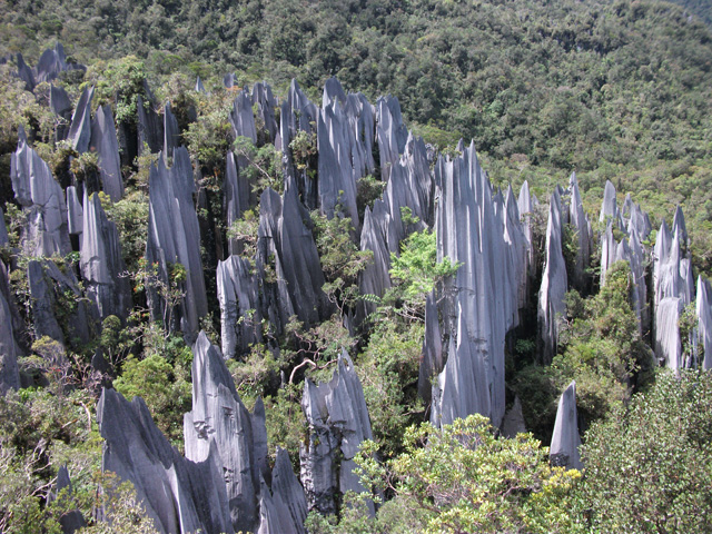 Pinnacles