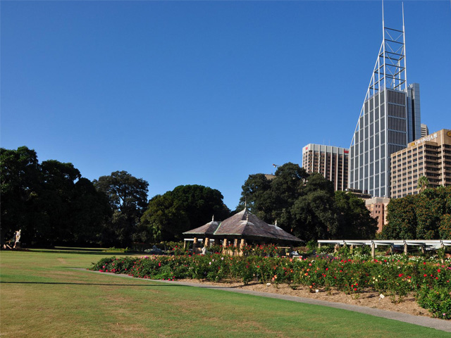 Pioneer Garden