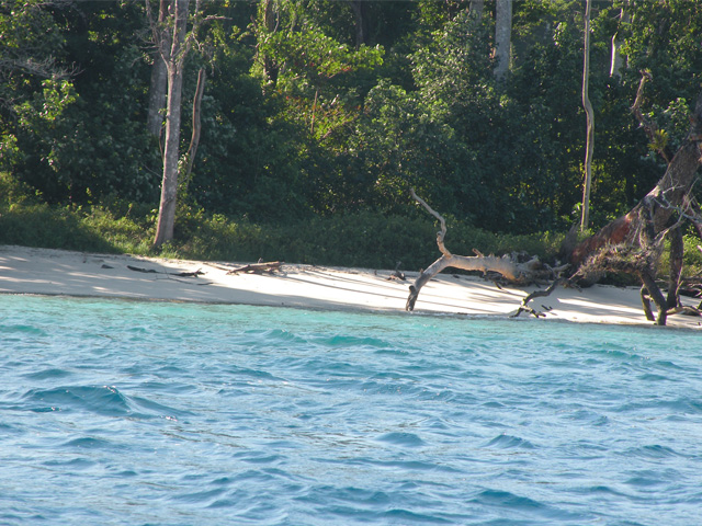 Radhanagar Beach