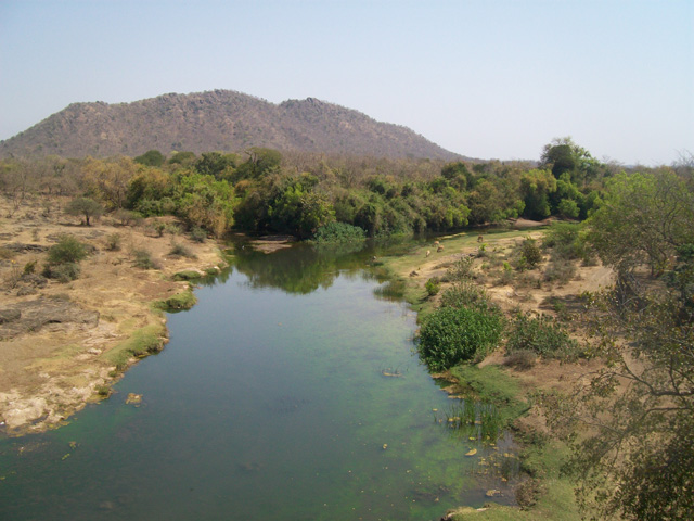 Parc national et sanctuaire faunique de Gir