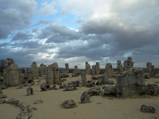 Stone Forest