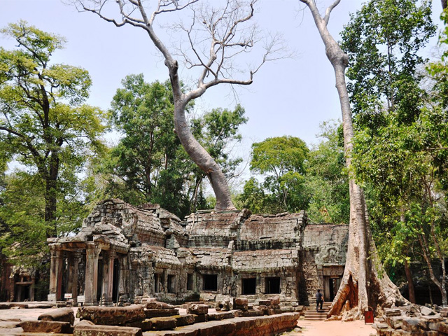 Gallery, Ta Prohm