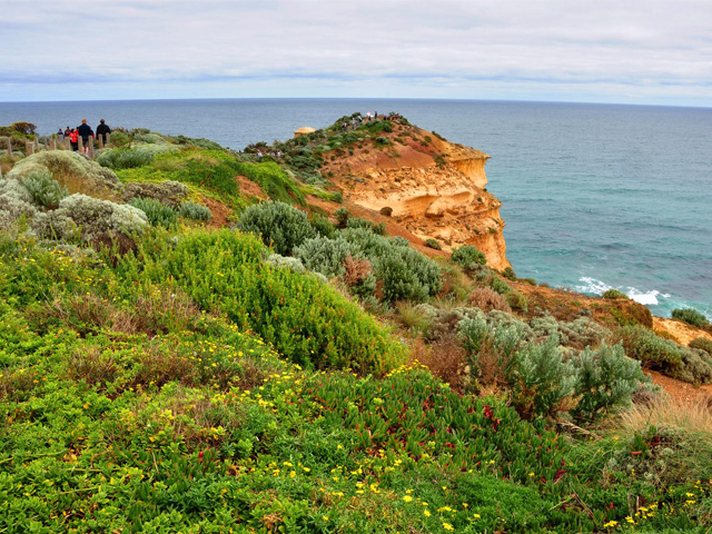 Greenery, Twelve Apostles