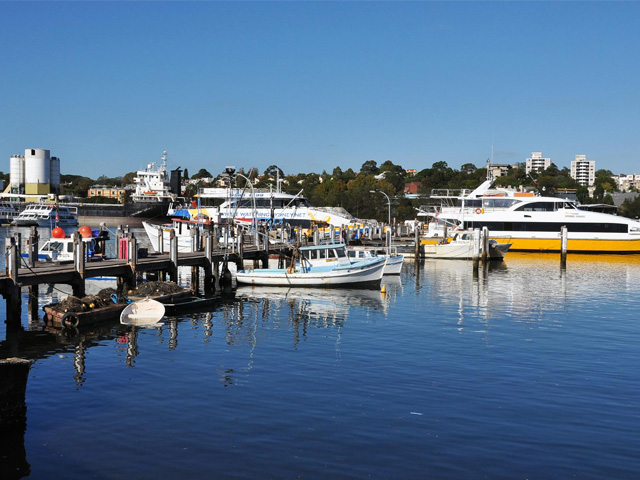 Timber bridge, Blackwattle Bay