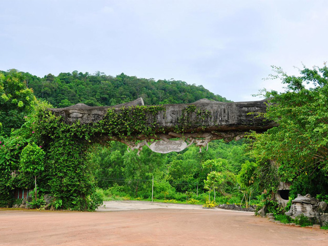 Tranh stream