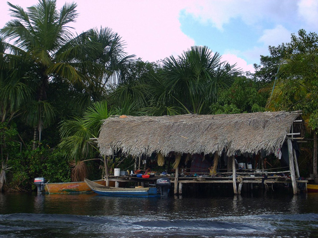 Warao hut