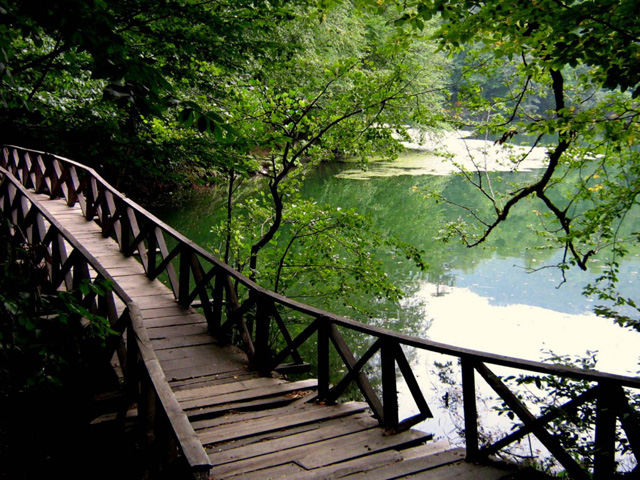 Parc National Yedigoller