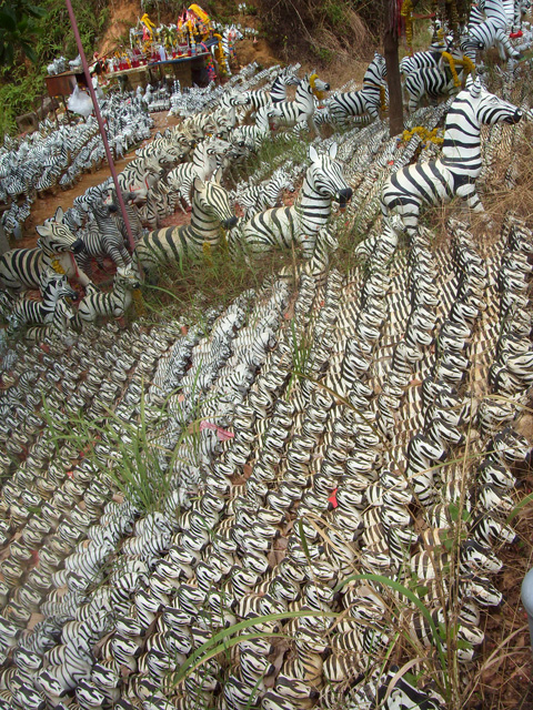 Zebra Shrine