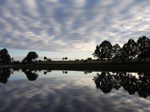 Vasa pond