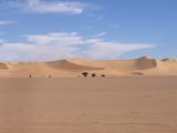 Réserves naturelles de l'Aïr et du Ténéré