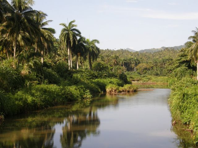 Parc national Alejandro de Humboldt